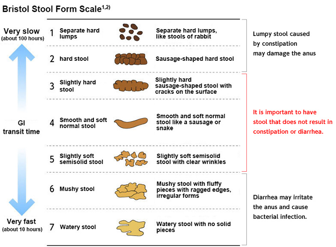 Bristol Stool Form Scale